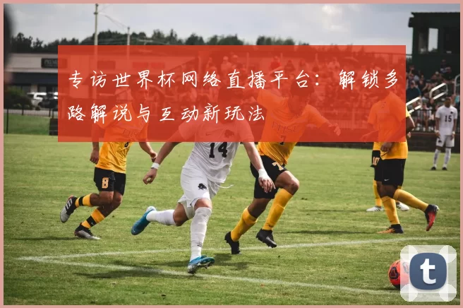 专访世界杯网络直播平台：解锁多路解说与互动新玩法