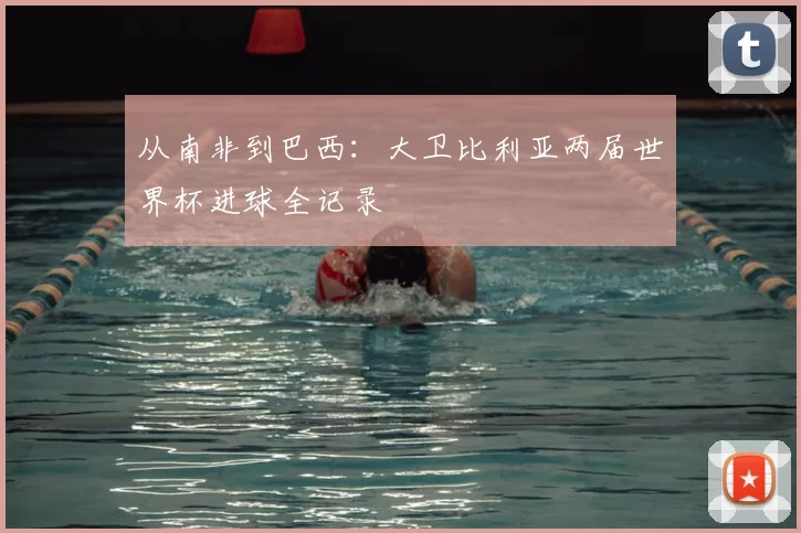 从南非到巴西：大卫比利亚两届世界杯进球全记录
