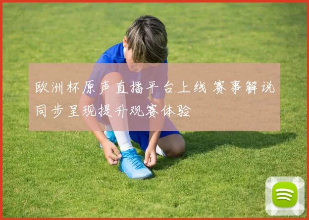 欧洲杯原声直播平台上线 赛事解说同步呈现提升观赛体验