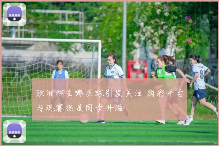 欧洲杯去哪买球引发关注 购彩平台与观赛热度同步升温