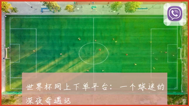 世界杯网上下单平台:一个球迷的深夜奇遇记