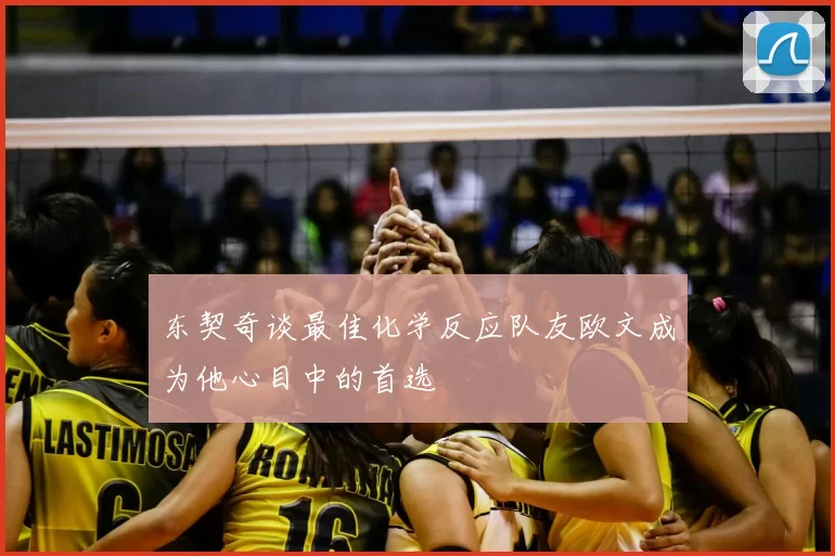 东契奇谈最佳化学反应队友欧文成为他心目中的首选