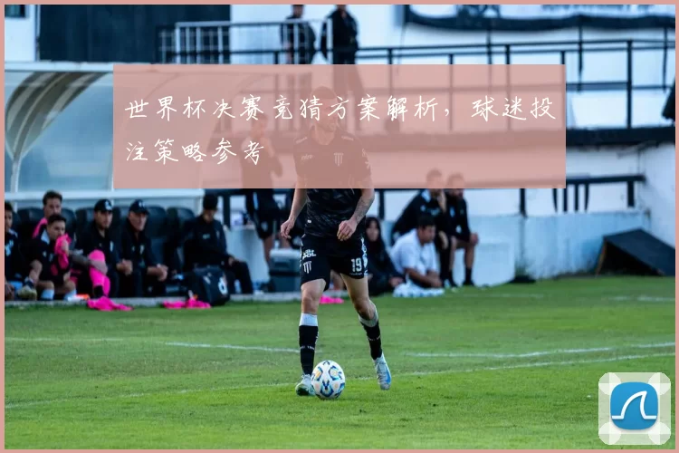 世界杯决赛竞猜方案解析，球迷投注策略参考